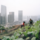 Image for article titled Photos: Inside China’s unknown mega-city